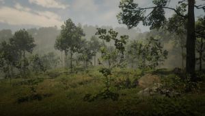 Wiki placeholder.png