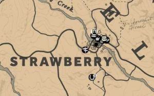 Strawberrymap.jpg