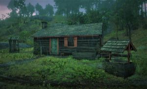 Wiki placeholder.png