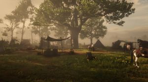 Wiki placeholder.png