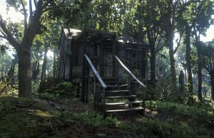 Wiki placeholder.png