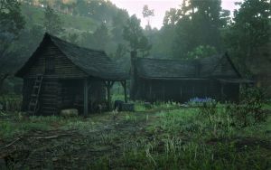 Wiki placeholder.png