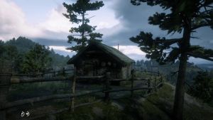 Wiki placeholder.png