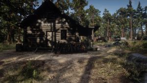 Wiki placeholder.png