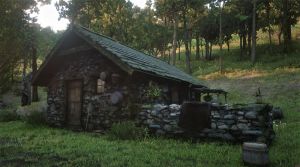 Wiki placeholder.png