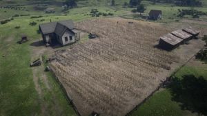 Wiki placeholder.png